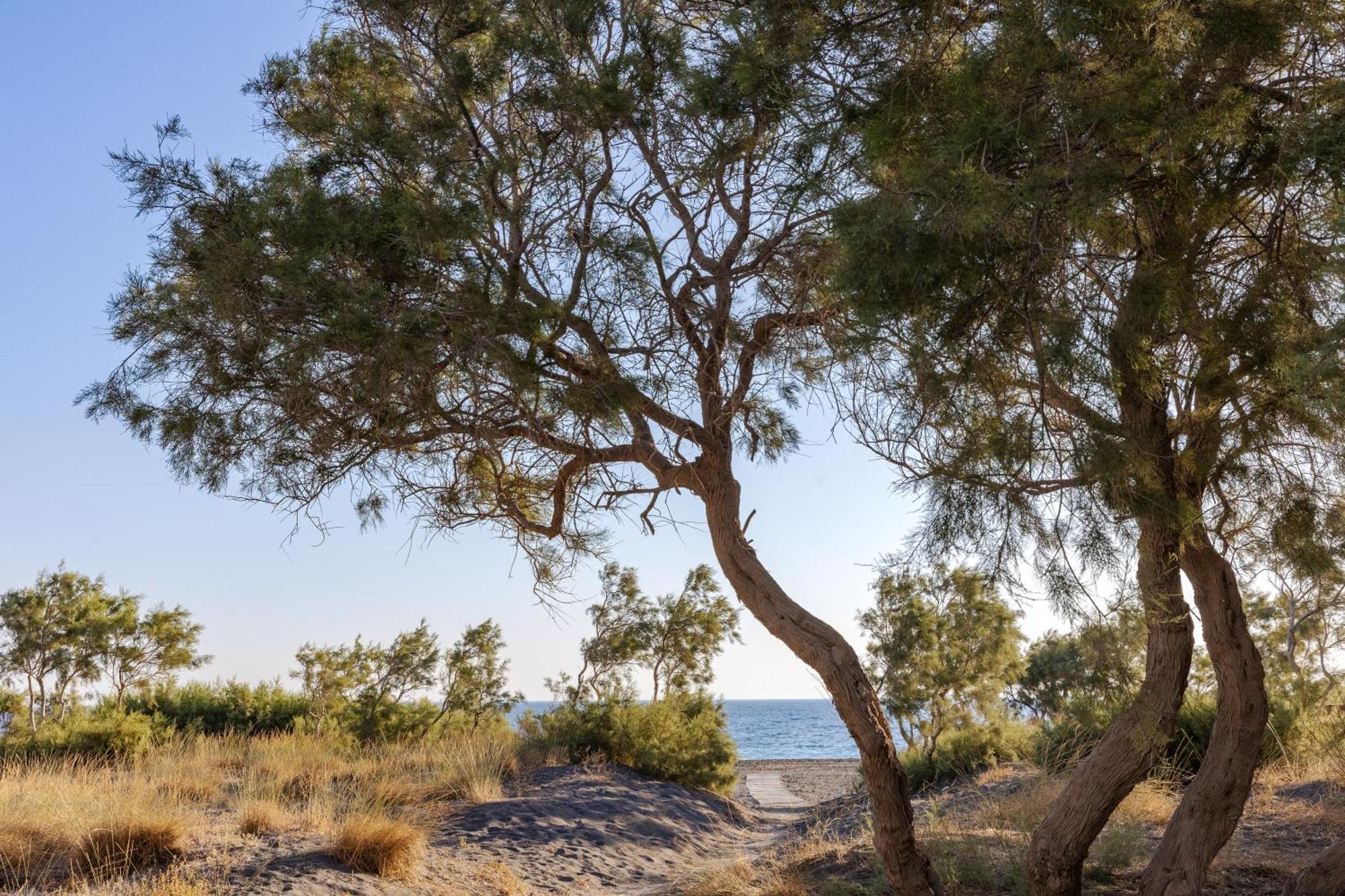 מונוליתוס Scorpios Beach מראה חיצוני תמונה